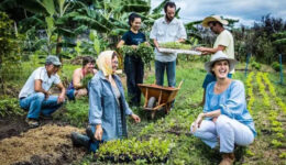 Projeto distribui mil marmitas em comunidades carentes de SP