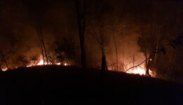 Sem ajuda, aldeias indígenas sofrem com incêndio em São Paulo