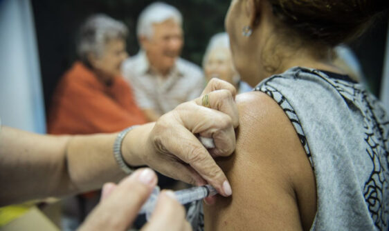 O Brasil terá uma vacina contra o coronavírus até o fim do ano?