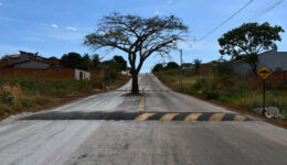 Cidade no Tocantins preserva árvore no meio de avenida