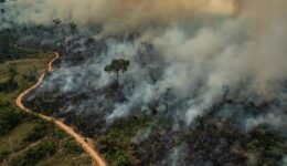 Em 10 anos, Brasil gasta 1 bilhão de reais com doenças respiratórias