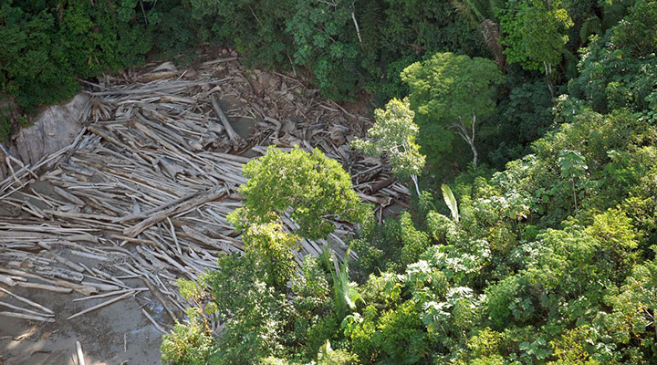 Demarcação de terras indígenas reduziu desmatamento na Amazônia