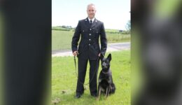 Em seu primeiro turno, cão policial encontra mãe e bebê desaparecidos