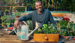 Homem planta alimento em calçadas para combater insegurança alimentar