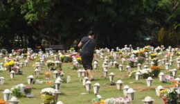 Assassinatos aumentam no Brasil durante a pandemia