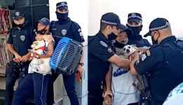 Idoso em situação de rua é agredido por agentes da Guarda Civil