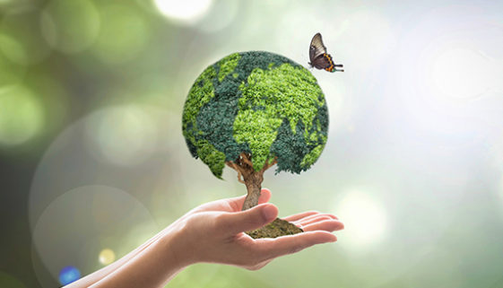 Environmental conservation, world wood day and sustainable envir