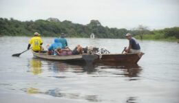 Poluição fatal: 98% dos peixes da Amazônia analisados têm plásticos