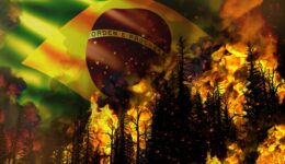 8 países assinam carta que cobra ação do Brasil contra queimadas
