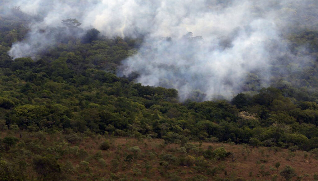 Meio ambiente, queimadas e desmatamento