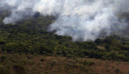 Meio ambiente, queimadas e desmatamento