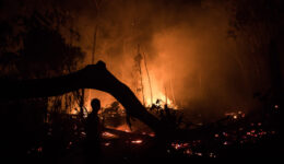 Brasil em chamas: incêndios atingem Amazônia, Pantanal e Mata Atlântica