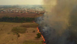 Iniciativa quer criar uma brigada anti-incêndio no Alto Pantanal