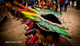 Queimadas e desmatamento ameaçam povos indígenas isolados