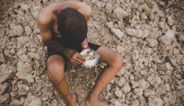 Até o fim do ano, 15 milhões de pessoas devem passar fome no Brasil