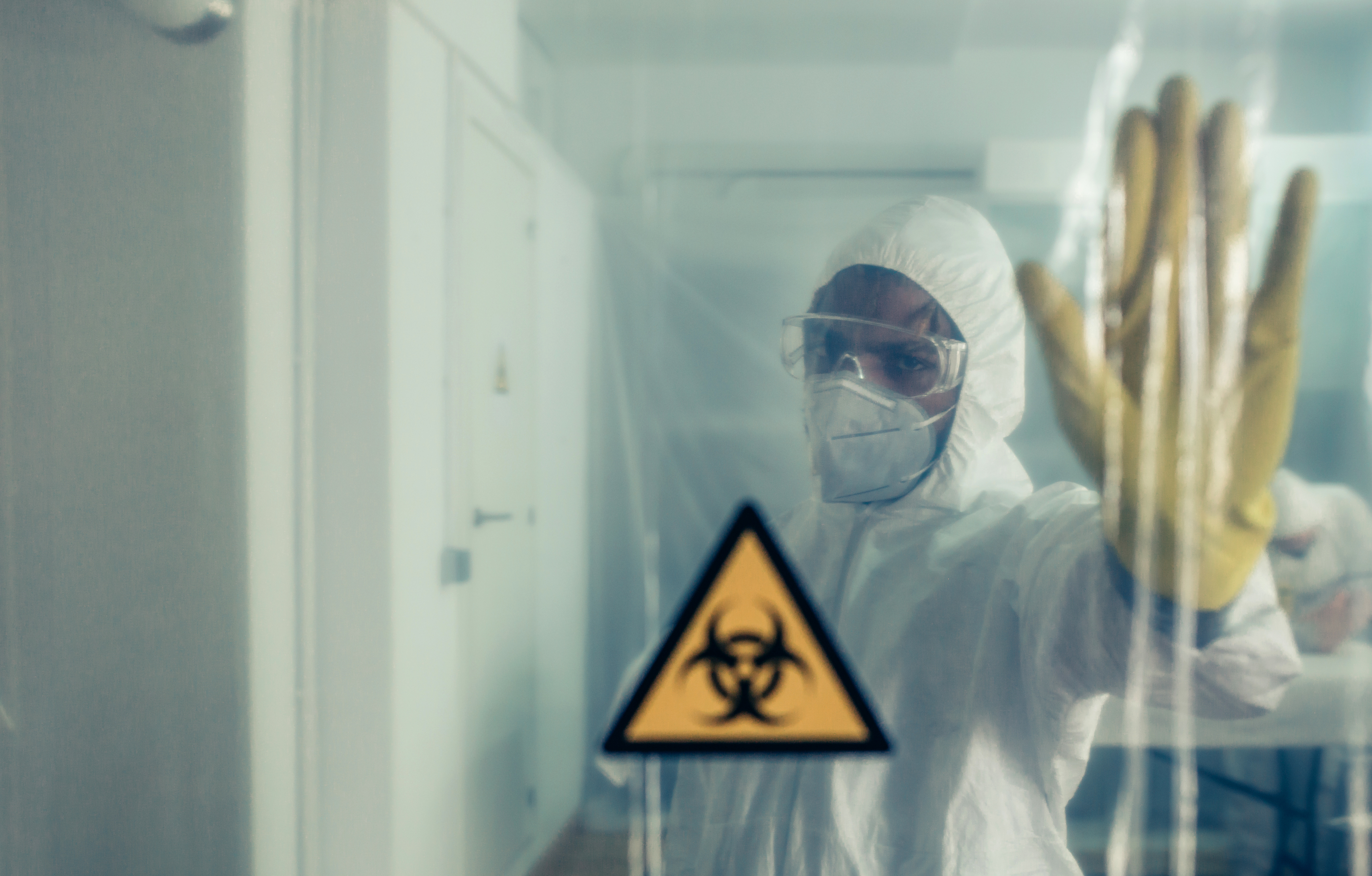 ONU alerta: até 850 mil vírus desconhecidos podem infectar humanos