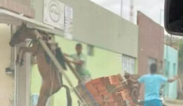 Crueldade: burro fica suspenso com peso que o colocaram para carregar