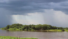 Chuva de esperança: chove no Pantanal e queimadas diárias diminuem 71,8%