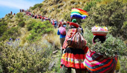 Cordilheira dos Andes fica mais verde graças a comunidades indígenas
