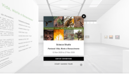 Exposição virtual de fotos mostra o Pantanal após as queimadas