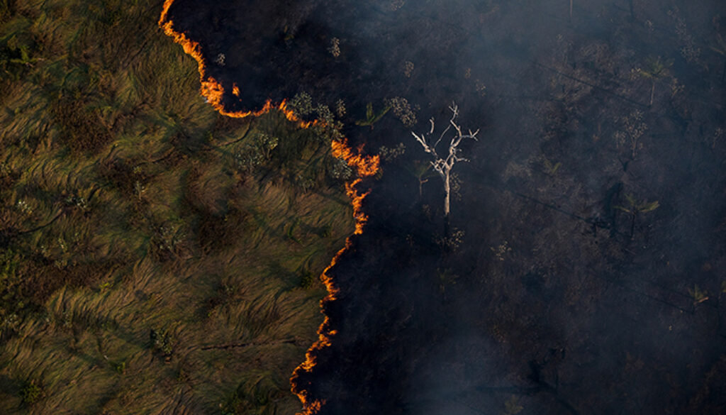 No Brasil, queimadas consumem área maior que a Inglaterra por ano | destruição da amazônia