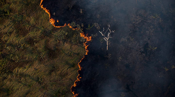 No Brasil, queimadas consumem área maior que a Inglaterra por ano