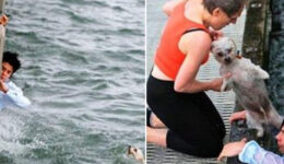 Jovem salva cãozinho que estava se afogando no mar
