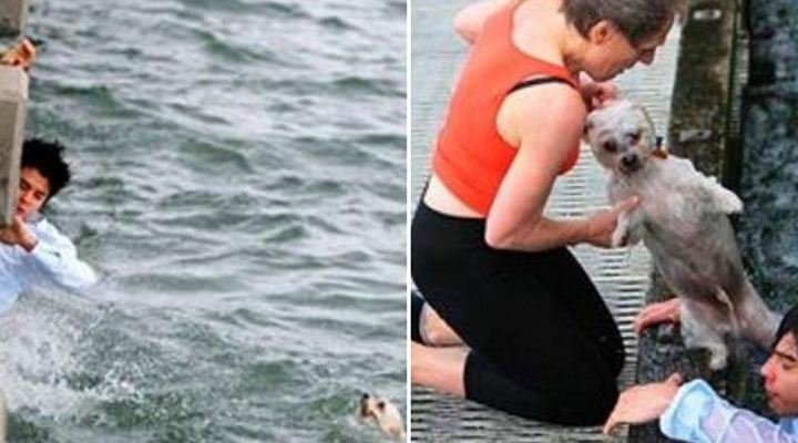 Jovem salva cãozinho que estava se afogando no mar