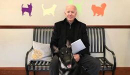 Major: o cachorro abandonado que vai morar na Casa Branca