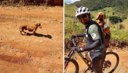 Ciclistas encontram cachorro desnutrido na estrada e o adotam