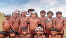 Sem socorro: 9 crianças indígenas Yanomami morrem com sintomas de covid