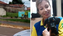 Carteira distribui comida para animais de rua enquanto trabalha no PR