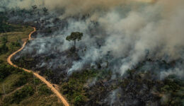ONGs se unem para que Brasil seja responsabilizado por retrocesso no clima