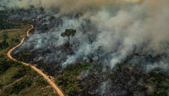 pesquisa em mudanças climáticas no Brasil