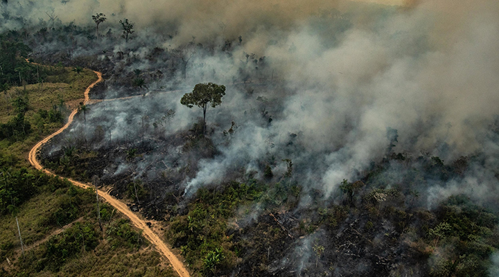 Mudanças climáticas: governo Bolsonaro quer convencer o mundo que problema  do Brasil é 'de imagem' - BBC News Brasil
