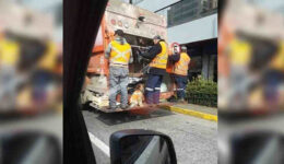 Garis resgatam cachorro e animal passa a acompanhá-los no trabalho