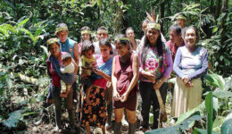 Mulheres indígenas plantam 150 mil árvores na Amazônia equatoriana