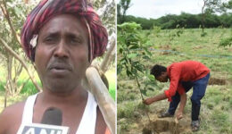 Indiano transforma terra árida em pomar com mais de 10 mil árvores