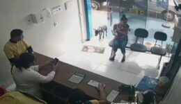 Vira-lata ferido entra e pede ajuda sozinho em clínica veterinária no CE