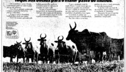 Ditadura Militar no Brasil queria transformar Amazônia em pasto