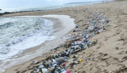 Isolamento? Mais de 1,5 tonelada de lixo foi encontrada em praias do RN