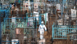 Especialistas que identificaram o coronavírus fazem alerta para o vírus H5N8