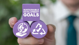 Sustainable Development Global Goals Concept. Corporate social r
