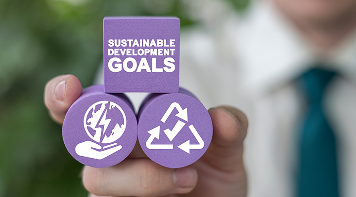 Sustainable Development Global Goals Concept. Corporate social r