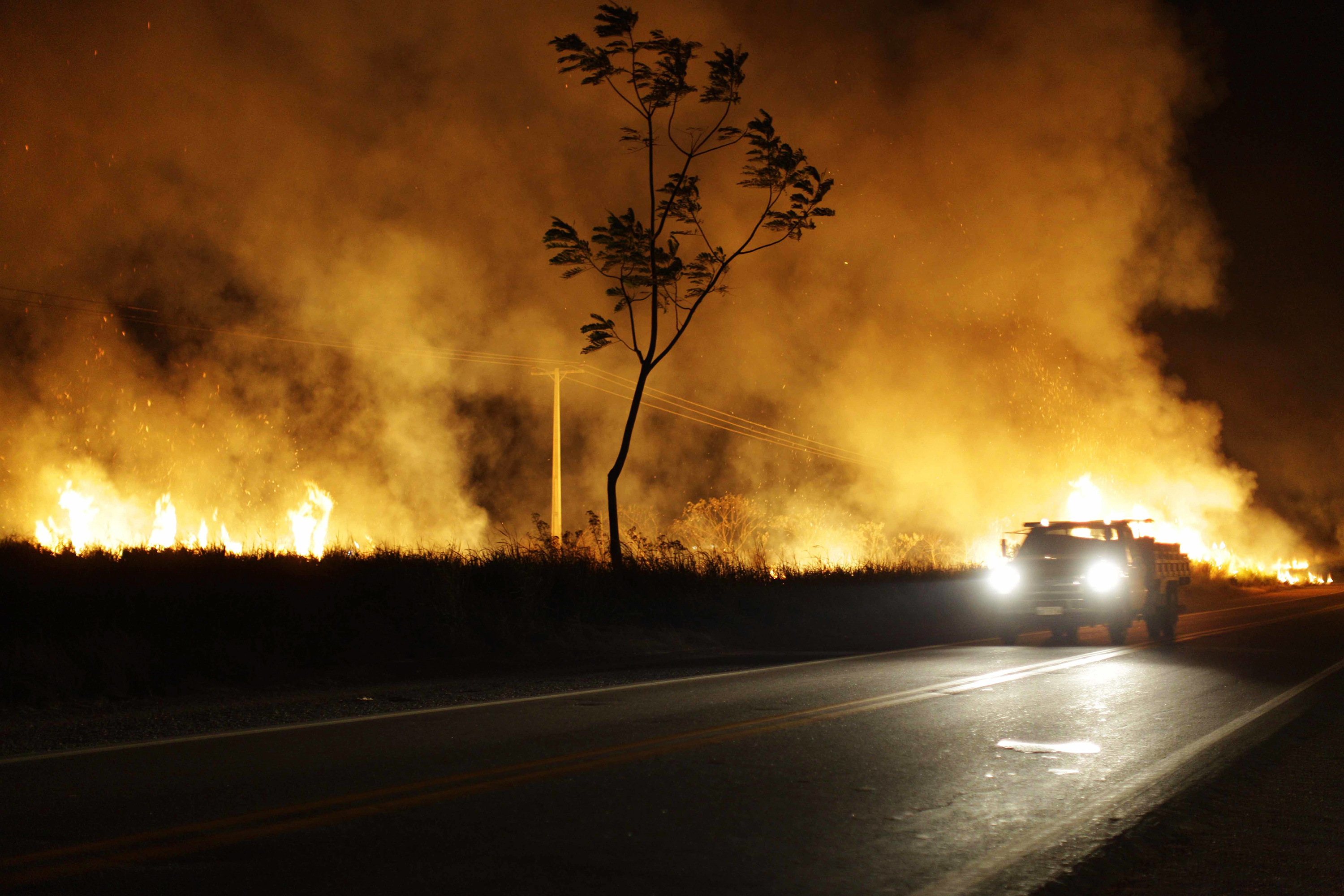 Futuro terá Amazônia seca, fome e doenças, se desmatamento continuar
