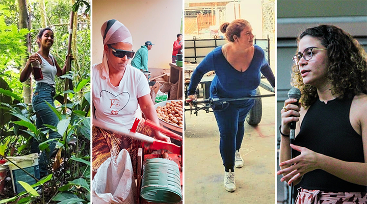 Mulheres sustentáveis: de catadoras a agricultoras, elas fazem a diferença