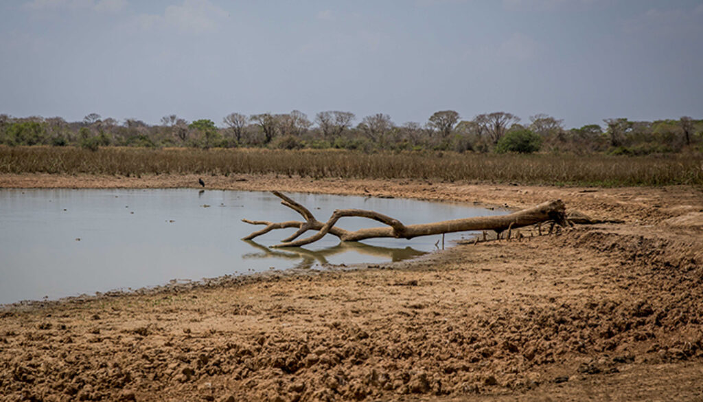 Mudanças climáticas causadas pelos seres humanos já são irreversíveis