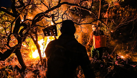 Brigadistas voluntários driblam a falta de recursos para combater incêndios