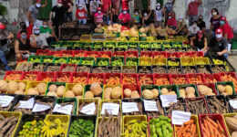 Iniciativa irá mapear os bancos de alimentos e cozinhas solidárias no país
