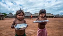Encurralados pelo agronegócio, indígenas têm alta taxa de mortes por covid